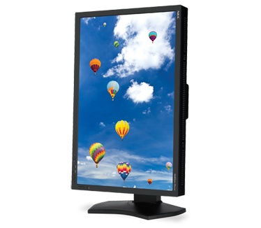 NEC MultiSync PA242W Zwart