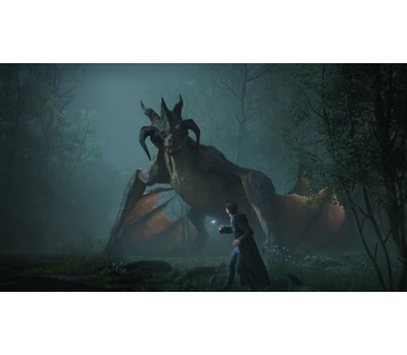 Hogwarts Legacy - Deluxe Edition (PS4)