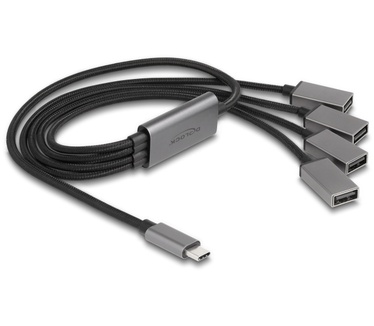 Delock 64210
