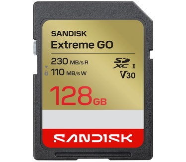 Sandisk Extreme GO