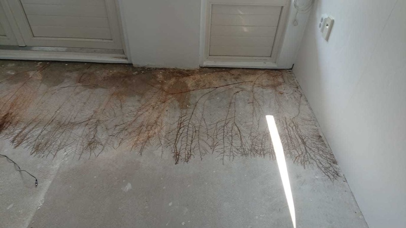 Afbeeldingslocatie: https://tweakers.net/i/vTFxyHYJ-hOCicMhbMOeek7jMa4=/800x/filters:strip_icc():strip_exif()/f/image/klx20GzeiuhPaXNPu7yi7jzM.jpg?f=fotoalbum_large