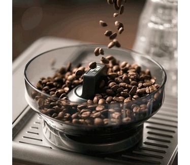 Sage the Barista Touch