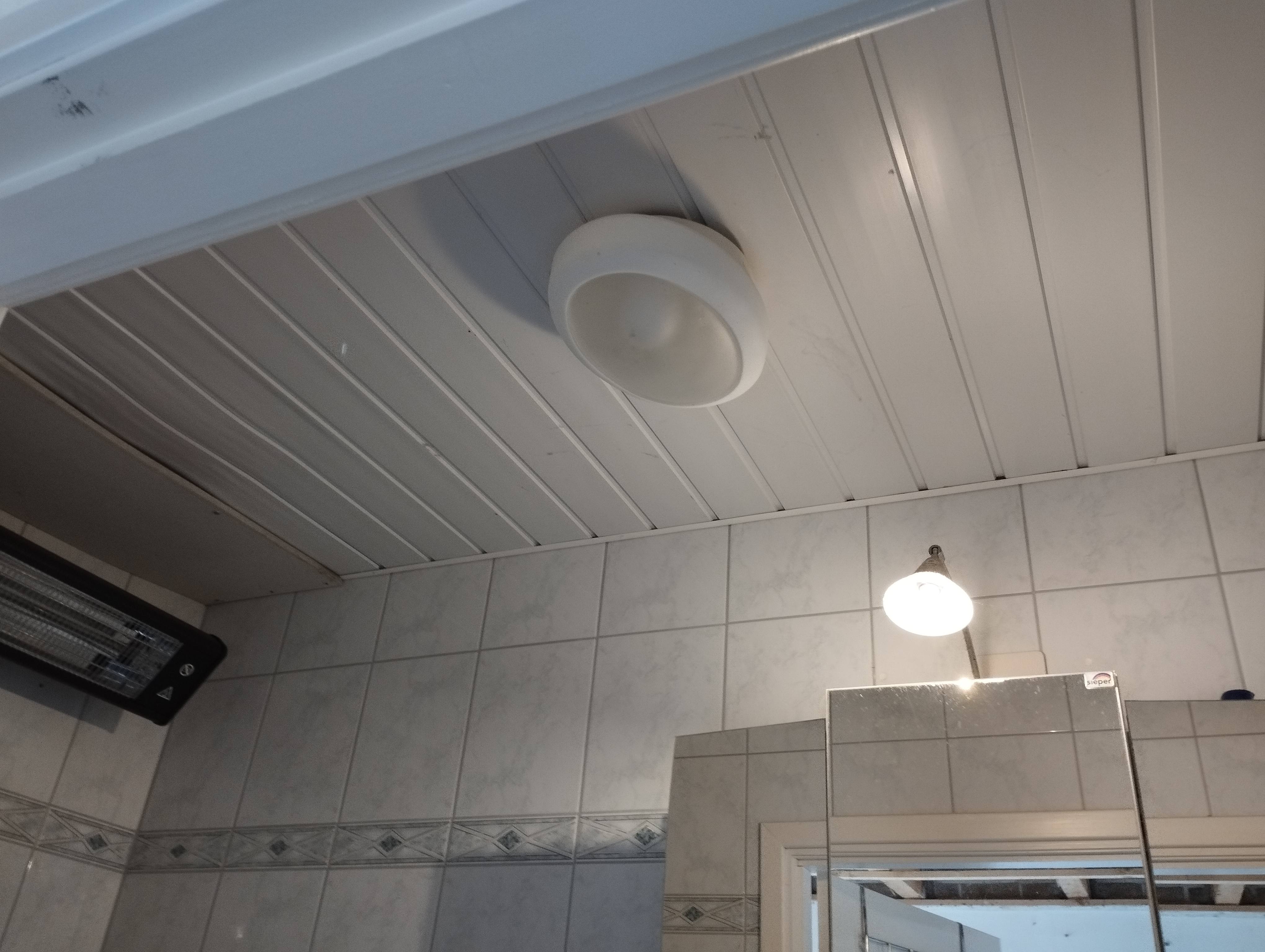 pvc laminaat op plafond ipv groene gipsplaat Bouwen en klussen