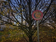 OnePlus 15 cameratest - Primair nachtmodus