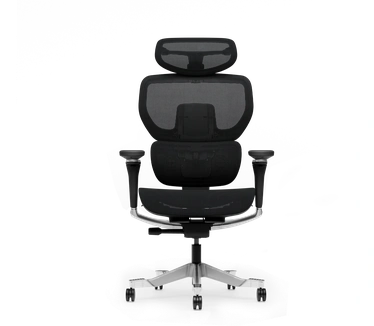 FlexiSpot Ergonomische bureaustoel C7 Morpher, Mesh, geen voetensteun, M