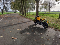 Afbeeldingslocatie: https://tweakers.net/i/v_lSxbsL6MTI2-G_QPayfW6QFNQ=/234x176/filters:strip_icc():strip_exif()/f/image/TKC84N34MvuMGVX4Yz9cj4yq.jpg?f=fotoalbum_medium