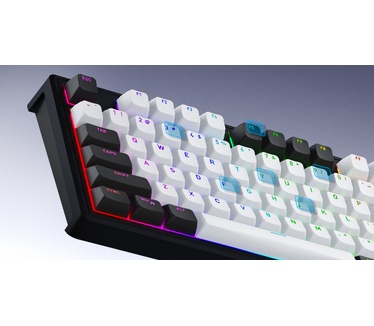 HATOR Skyfall Pro Wireless 65