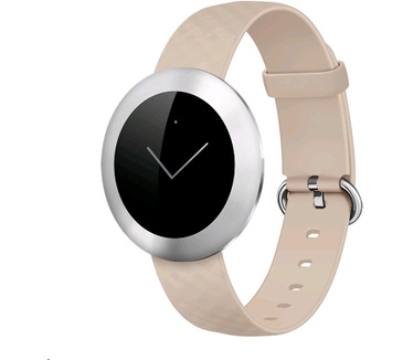 Honor Band Z1 Small Zilver