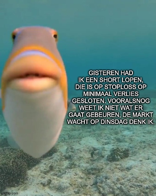 Afbeeldingslocatie: https://tweakers.net/i/vdniKE33YJB1jE6WjboOa5PBWkg=/full-fit-in/4920x3264/filters:max_bytes(3145728):no_upscale():strip_icc():fill(white):strip_exif()/f/image/STRPPWM1wP8pvtFnWOjKM6PU.jpg?f=user_large