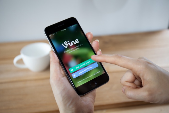 Vine