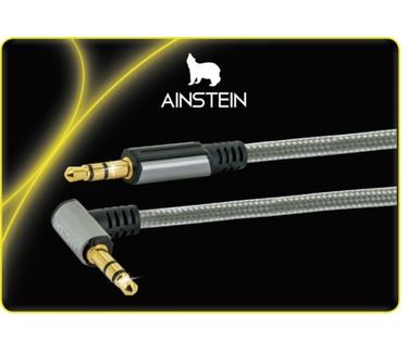 Schwaiger AIAU2010 413