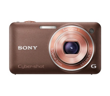 Sony Cybershot DSC-WX5 Bruin