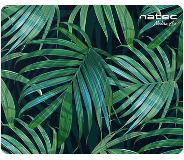 Natec Modern Art - Palm Tree