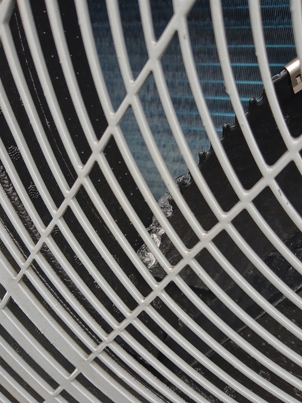 Afbeeldingslocatie: https://tweakers.net/i/vhDV-FzKTbd4Xxw0BPyktD6eXSo=/x800/filters:strip_icc():strip_exif()/f/image/scEdgTw52QaWOBCWdfYMfoSS.jpg?f=fotoalbum_large