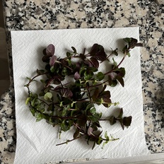 Afbeeldingslocatie: https://tweakers.net/i/vhHkme4Xl2vmJQyjsxa6O2BnTiw=/232x232/filters:strip_icc():strip_exif()/f/image/0meqiMyHNMsvn1bIDvxTNnNS.jpg?f=fotoalbum_tile