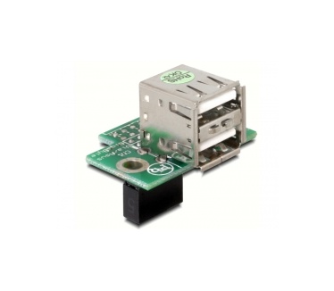 Delock DeLOCK USB Pinheader | 41762