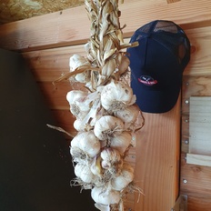 Afbeeldingslocatie: https://tweakers.net/i/vl-I5fv3NQKvgRzDURBctb19zrE=/232x232/filters:strip_icc():strip_exif()/f/image/3OaXdj6W1IMLdJjHLvB49yq2.jpg?f=fotoalbum_tile