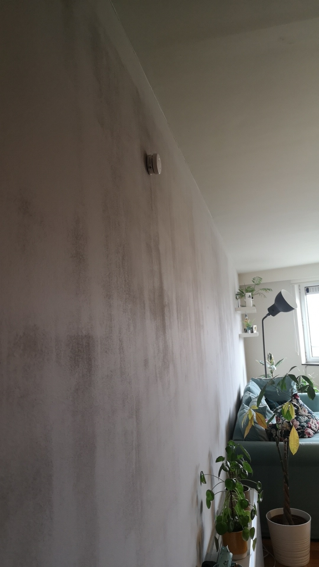 muur geverfd eindresultaat vol strepen wonen verbouwen got
