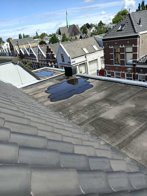 Afbeeldingslocatie: https://tweakers.net/i/vmCHUnZb_xooBeHFsYTNuEnTTEQ=/x800/filters:strip_icc():strip_exif()/f/image/ocyNcPA2T7LuKsj5Ht7COBM3.jpg?f=fotoalbum_large