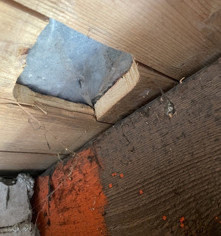 Afbeeldingslocatie: https://tweakers.net/i/vpqIAz1wdHNpymNa52pqckblen0=/x800/filters:strip_icc():strip_exif()/f/image/WiiwONJAhqZsURFjgDW76ggX.jpg?f=fotoalbum_large