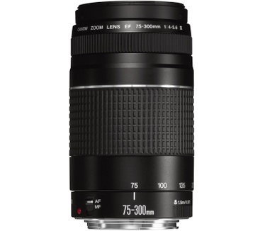 Canon EOS Rebel T6 + EF-S 18-55mm f/3.5-5.6 IS II + EF 75-300mm f/4-5.6 III USM Zwart