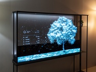 LG OLED T series