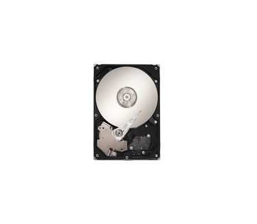 Maxtor DiamondMax 22 STM3160813AS, 160GB