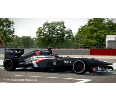 F1 2013, Windows