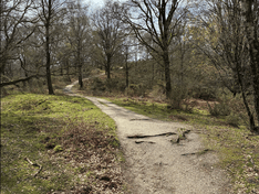 Afbeeldingslocatie: https://tweakers.net/i/w1I1PnCZTbyDjhTStrdmiGmxcgg=/234x176/filters:strip_exif()/f/image/Fw1ELGrCoeUZp63an4yXcPve.png?f=fotoalbum_medium