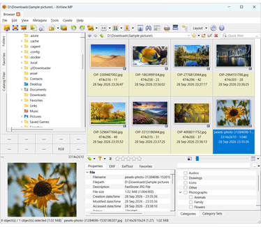 XnView MP