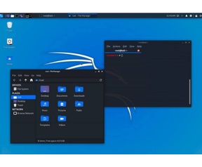 Kali Linux Undercover 