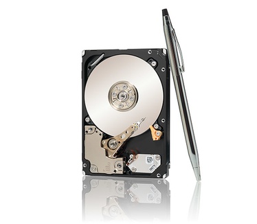 Seagate 10K.6 450GB