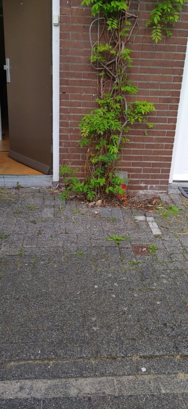 Afbeeldingslocatie: https://tweakers.net/i/w6lBqMtdEvmKmKJLUm_KCMggJ3Q=/x800/filters:strip_icc():strip_exif()/f/image/MmxCMPWsS4eEFVL56w5zQUOW.jpg?f=fotoalbum_large