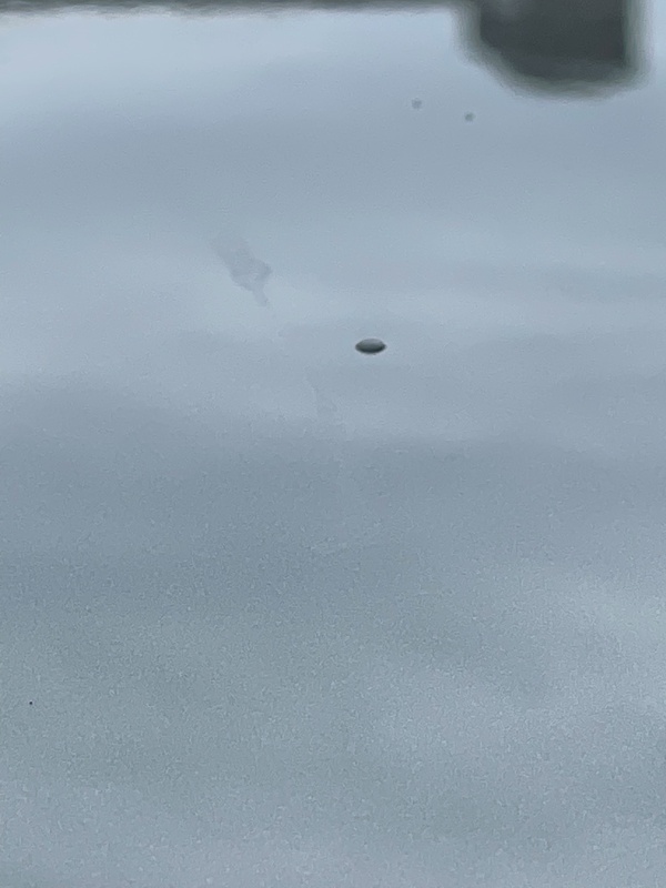Afbeeldingslocatie: https://tweakers.net/i/w7hDAMgFzrrViF8Mo-vCsHN3cEU=/x800/filters:strip_icc():strip_exif()/f/image/h7OA9D6jy3DWY3gVbJmRlkXu.jpg?f=fotoalbum_large