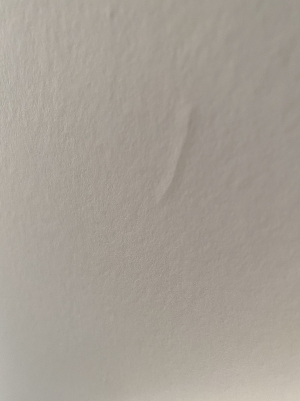 Afbeeldingslocatie: https://tweakers.net/i/w7sPIqfK1xLjzJTll0vPMJRfW30=/x800/filters:strip_icc():strip_exif()/f/image/8MlqCD28ZMAlspuCktIM0Qjt.jpg?f=fotoalbum_large