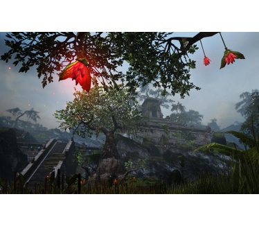 The Elder Scrolls Online Blackwood Collection, Windows