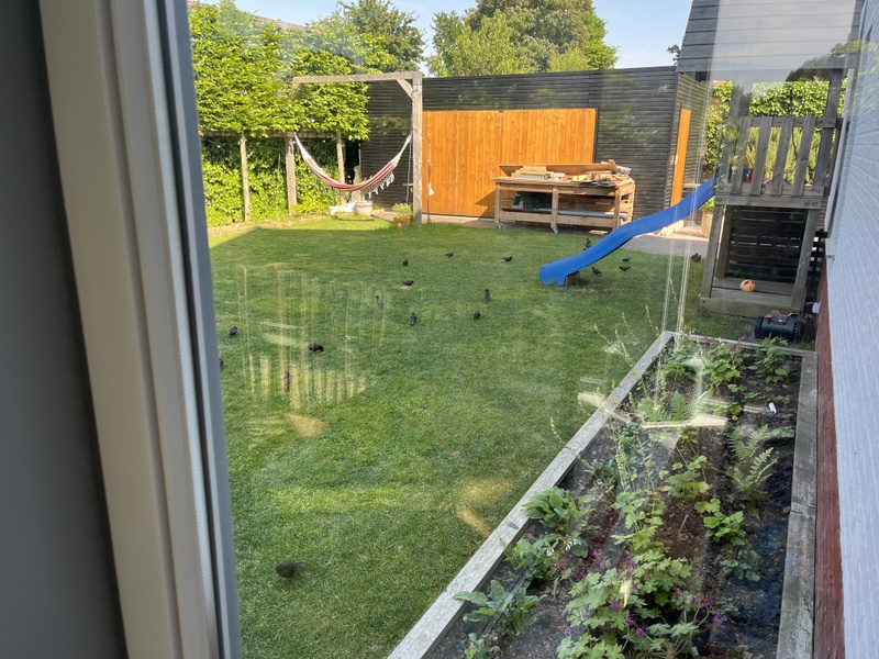 Afbeeldingslocatie: https://tweakers.net/i/w9BwXEXPvF9tlbif89VHyTwuvjI=/800x/filters:strip_icc():strip_exif()/f/image/Cv4Wyfdi6aN4ecUe7KeycmYR.jpg?f=fotoalbum_large
