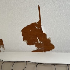 Afbeeldingslocatie: https://tweakers.net/i/w9Lcshx7q-8OXIpw4O1Q24eSSZA=/232x232/filters:strip_icc():strip_exif()/f/image/Tlo4Vxp4NrfUKstdDK7bDTD5.jpg?f=fotoalbum_tile