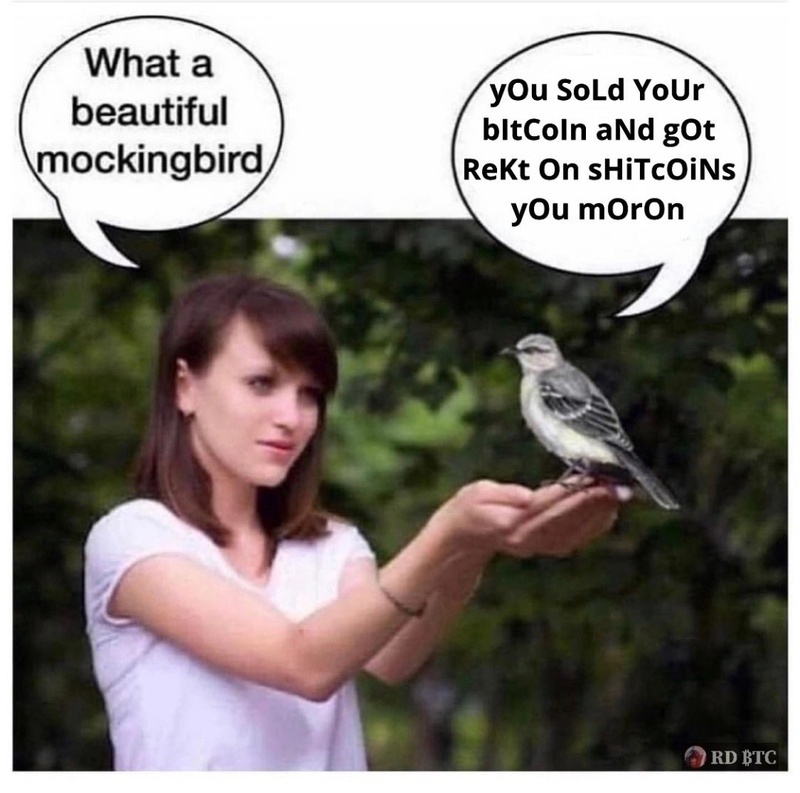 Afbeeldingslocatie: https://tweakers.net/i/wB13194c7EM-aEvXVqw9fMSex-s=/800x/filters:strip_icc():strip_exif()/f/image/zIKYQMxJD8GUZ6ifjKJXL5yF.jpg?f=fotoalbum_large