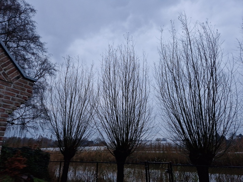 Afbeeldingslocatie: https://tweakers.net/i/wCDAruDWToEyBbWqR2m3UdV80iY=/800x/filters:strip_icc():strip_exif()/f/image/StkeuR3xbHaMmkA4rk2lCOl1.jpg?f=fotoalbum_large