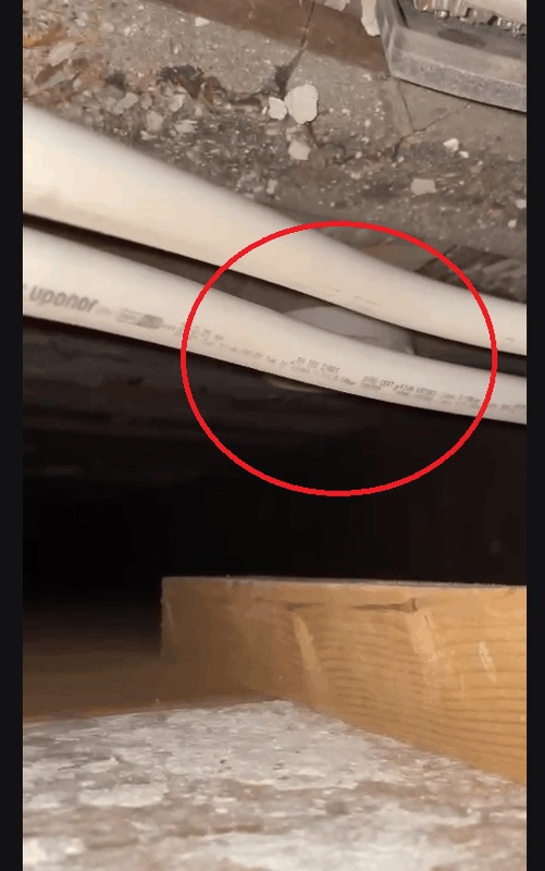 Afbeeldingslocatie: https://tweakers.net/i/wC_YmmGu8jsSzt8DVUPplItxIk4=/x800/filters:strip_exif()/f/image/ThBcVSVWGdh4Yr3v7G1m0lEF.png?f=fotoalbum_large