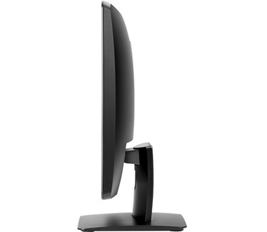 HP ProDisplay P202va
