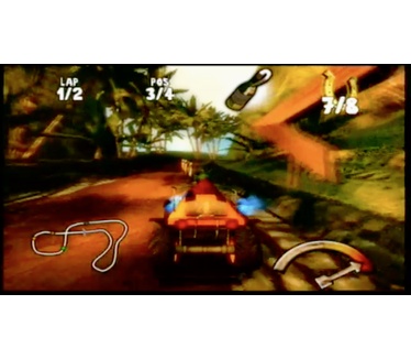 Calvin Tucker's Farm Animal Racing, Wii