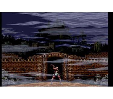 Castlevania Anniversary Collection, Switch