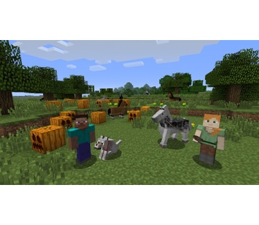 Minecraft, Wii U
