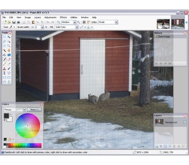 Paint.NET 3.5.5 build 3767 screenshot (481 pix)