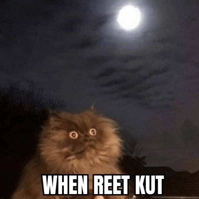 Afbeeldingslocatie: https://tweakers.net/i/wLt6WXRnuc9-pg96qPBcTMazPsk=/full-fit-in/4920x3264/filters:max_bytes(3145728):no_upscale():strip_icc():fill(white):strip_exif()/f/image/lZf6xSdKw4BGWMe7lN9omZtx.jpg?f=user_large