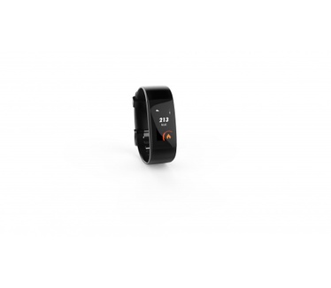 Swisstone SW 650 Pro