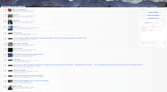 SaidIt-screenshot