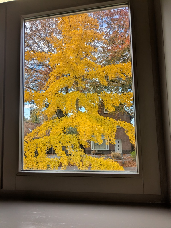 Afbeeldingslocatie: https://tweakers.net/i/wQOSusb-vPeg5_EGrSgtQPgsccU=/x800/filters:strip_icc():strip_exif()/f/image/8mwnf2IPAB6K8j9v6kwpQtfP.jpg?f=fotoalbum_large